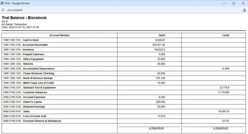 Biznsbook trial balance print view with formatted columns for export