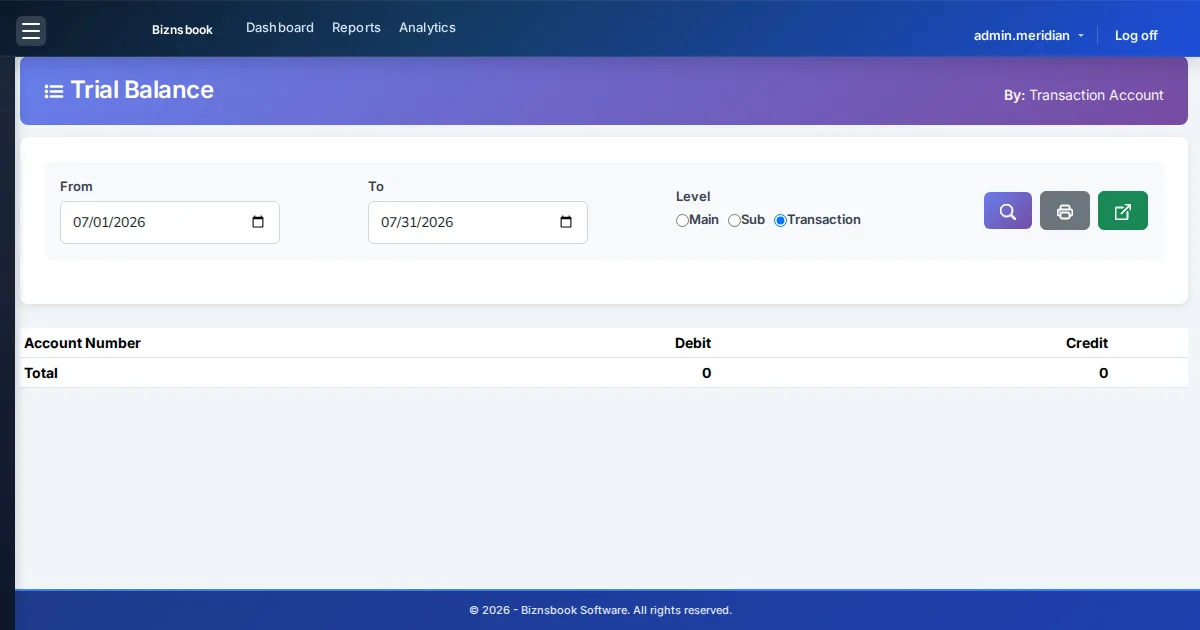 Finance lead reviewing general ledger and cash flow reports in cloud accounting software