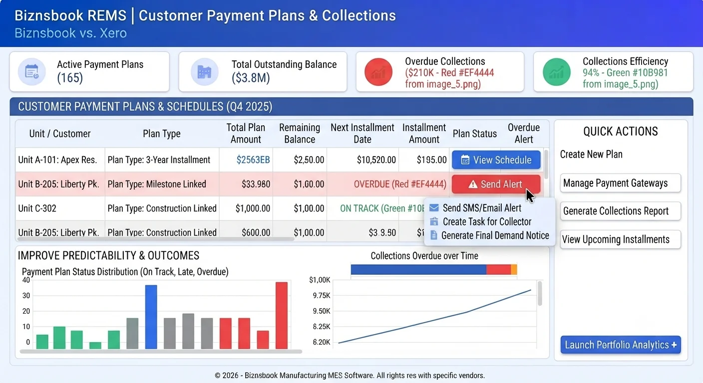 Finance executive reviewing customer payment plan types and overdue installment alerts